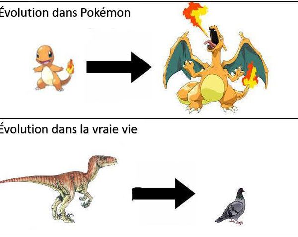 L’évolution : Pokémon vs la réalité