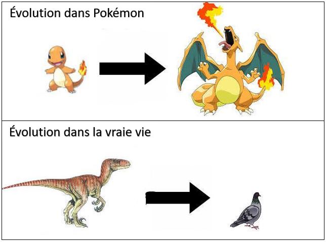 L’évolution : Pokémon vs la réalité